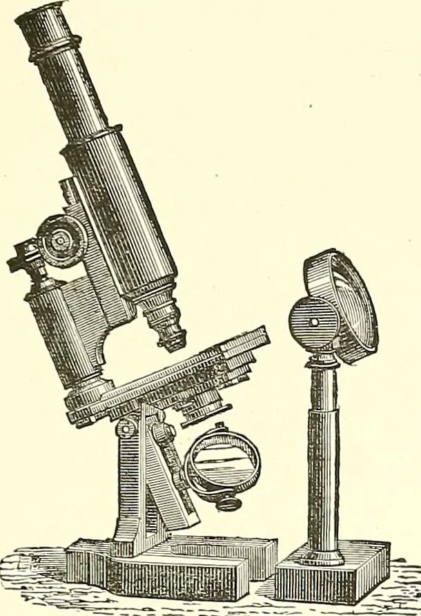 An illustration from The microscope : its construction and management : including technique, photo-micrography, and the past and future of the microscope, 1893, leaf 184