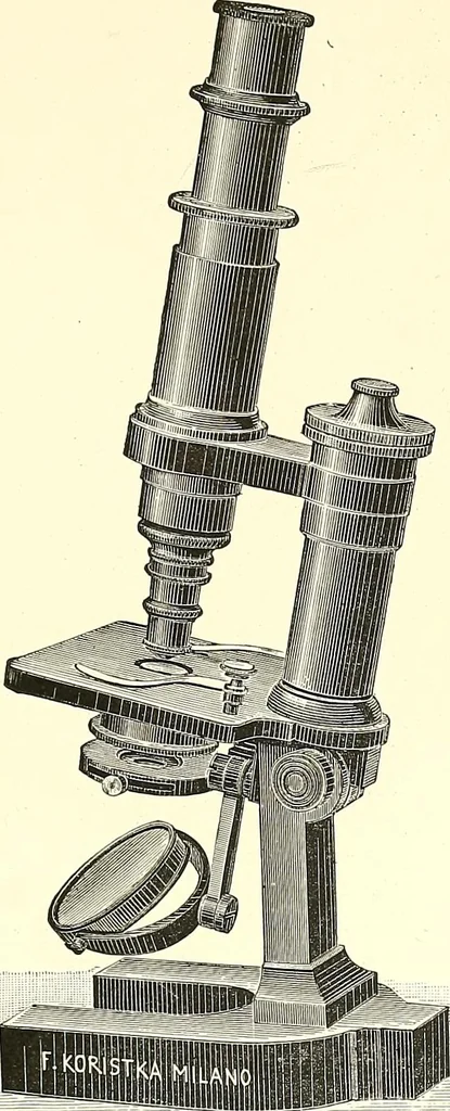 An illustration from The microscope : its construction and management : including technique, photo-micrography, and the past and future of the microscope, 1893, leaf 192