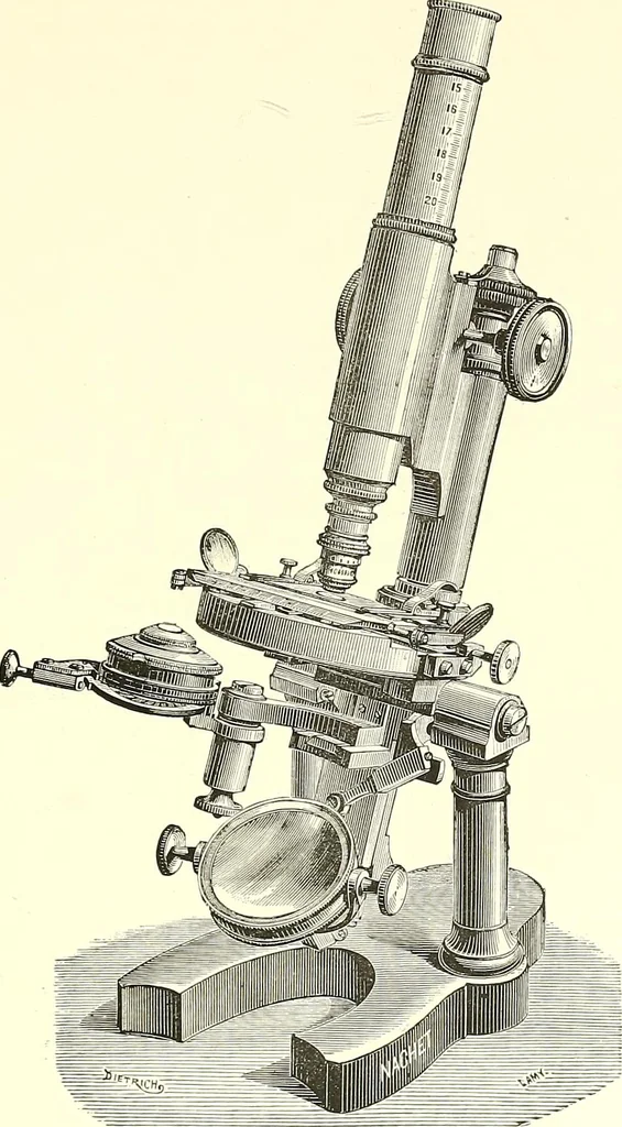 An illustration from The microscope : its construction and management : including technique, photo-micrography, and the past and future of the microscope, 1893, leaf 204