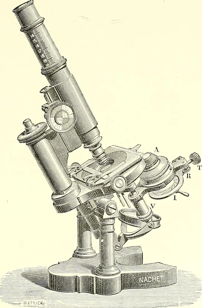 An illustration from The microscope : its construction and management : including technique, photo-micrography, and the past and future of the microscope, 1893, leaf 206