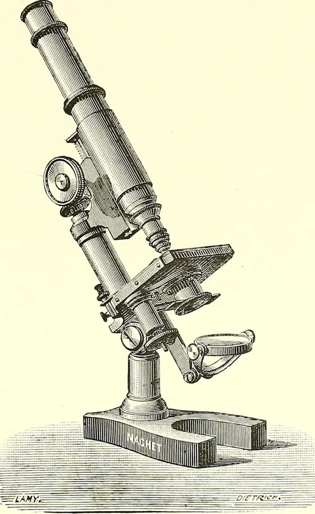 An illustration from The microscope : its construction and management : including technique, photo-micrography, and the past and future of the microscope, 1893, leaf 208