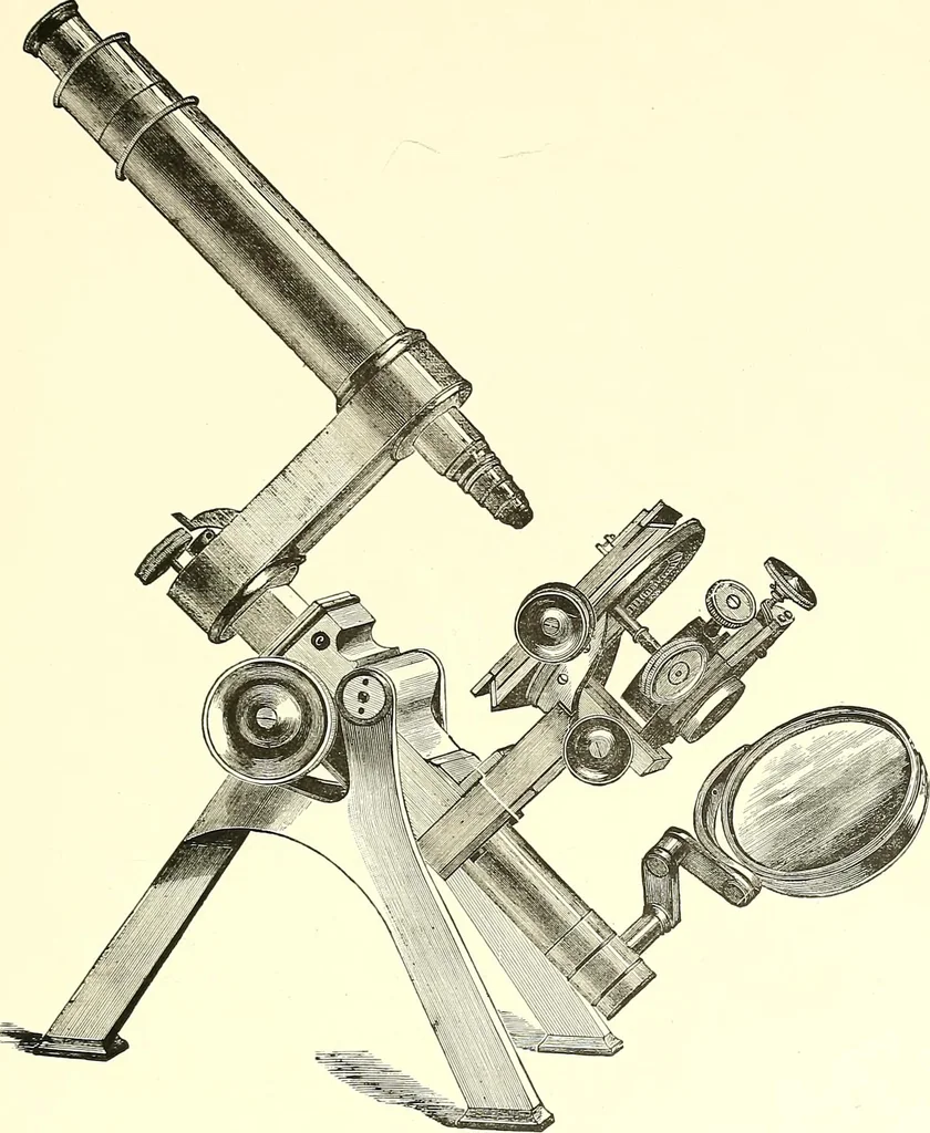 An illustration from The microscope : its construction and management : including technique, photo-micrography, and the past and future of the microscope, 1893, leaf 212