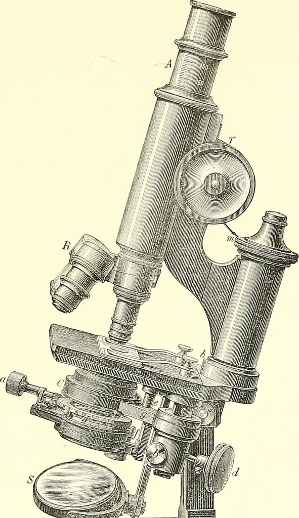 An illustration from The microscope : its construction and management : including technique, photo-micrography, and the past and future of the microscope, 1893, leaf 218