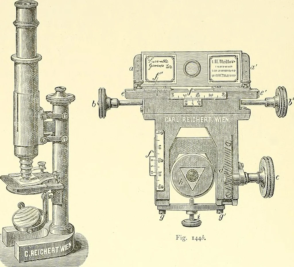 An illustration from The microscope : its construction and management : including technique, photo-micrography, and the past and future of the microscope, 1893, leaf 223