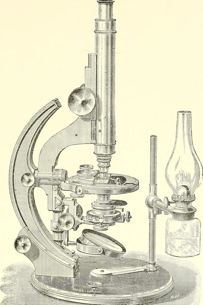 An illustration from The microscope : its construction and management : including technique, photo-micrography, and the past and future of the microscope, 1893, leaf 228