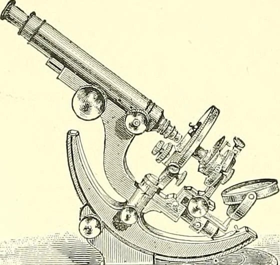 An illustration from The microscope : its construction and management : including technique, photo-micrography, and the past and future of the microscope, 1893, leaf 229