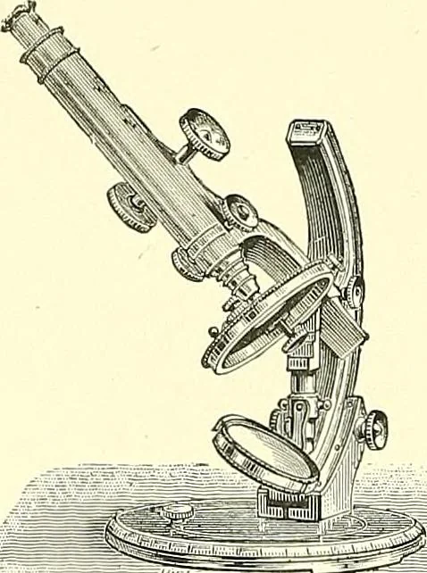 An illustration from The microscope : its construction and management : including technique, photo-micrography, and the past and future of the microscope, 1893, leaf 229