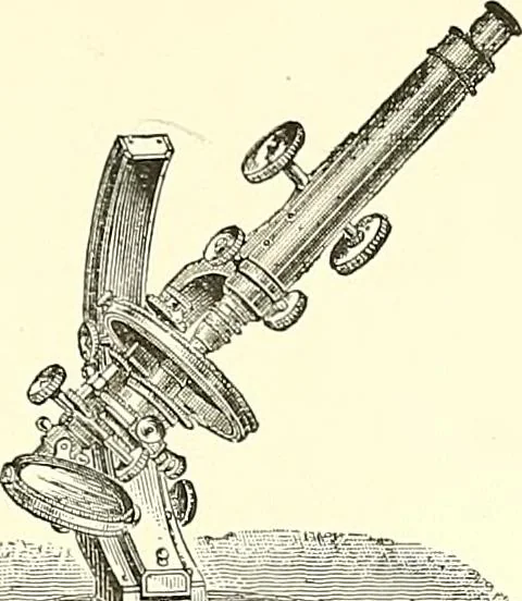 An illustration from The microscope : its construction and management : including technique, photo-micrography, and the past and future of the microscope, 1893, leaf 230