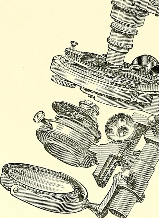 An illustration from The microscope : its construction and management : including technique, photo-micrography, and the past and future of the microscope, 1893, leaf 231