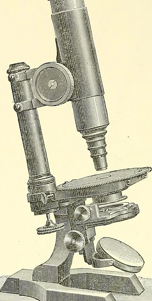 An illustration from The microscope : its construction and management : including technique, photo-micrography, and the past and future of the microscope, 1893, leaf 235