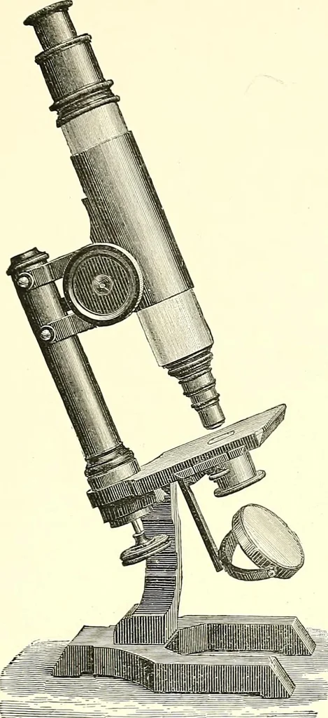 An illustration from The microscope : its construction and management : including technique, photo-micrography, and the past and future of the microscope, 1893, leaf 236