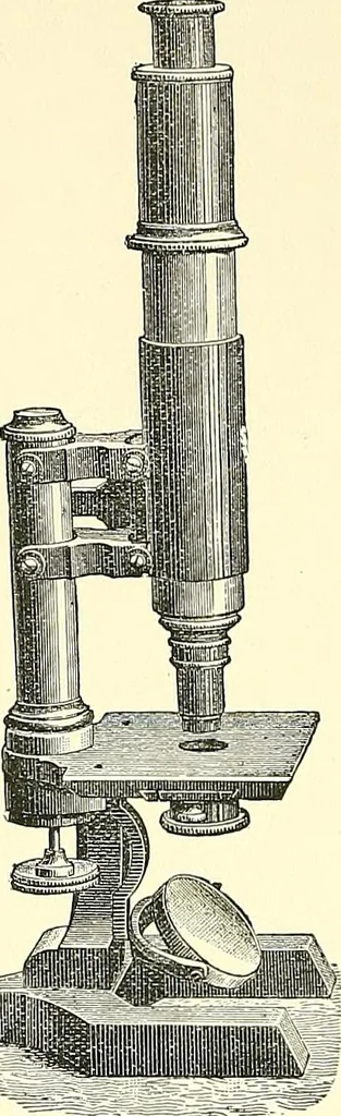 An illustration from The microscope : its construction and management : including technique, photo-micrography, and the past and future of the microscope, 1893, leaf 237