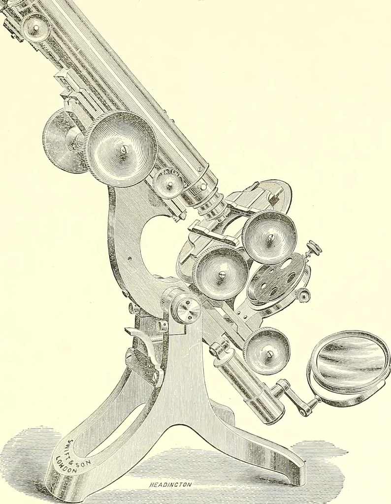 An illustration from The microscope : its construction and management : including technique, photo-micrography, and the past and future of the microscope, 1893, leaf 240