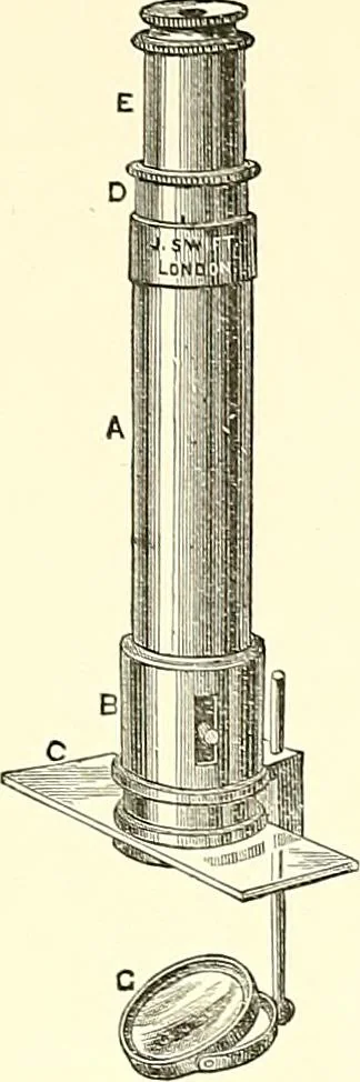 An illustration from The microscope : its construction and management : including technique, photo-micrography, and the past and future of the microscope, 1893, leaf 242
