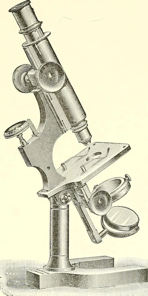 An illustration from The microscope : its construction and management : including technique, photo-micrography, and the past and future of the microscope, 1893, leaf 244