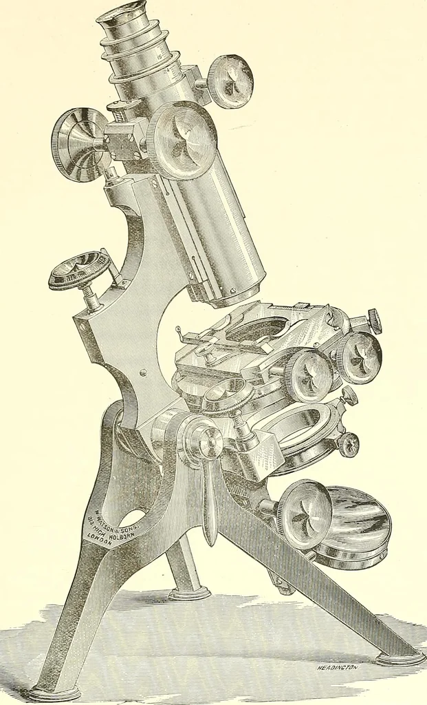 An illustration from The microscope : its construction and management : including technique, photo-micrography, and the past and future of the microscope, 1893, leaf 248