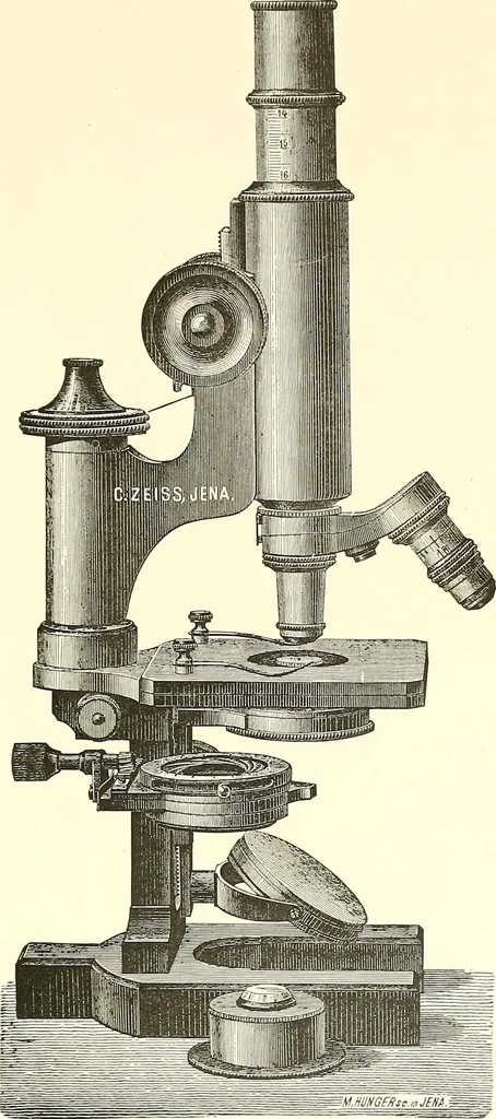 An illustration from The microscope : its construction and management : including technique, photo-micrography, and the past and future of the microscope, 1893, leaf 258