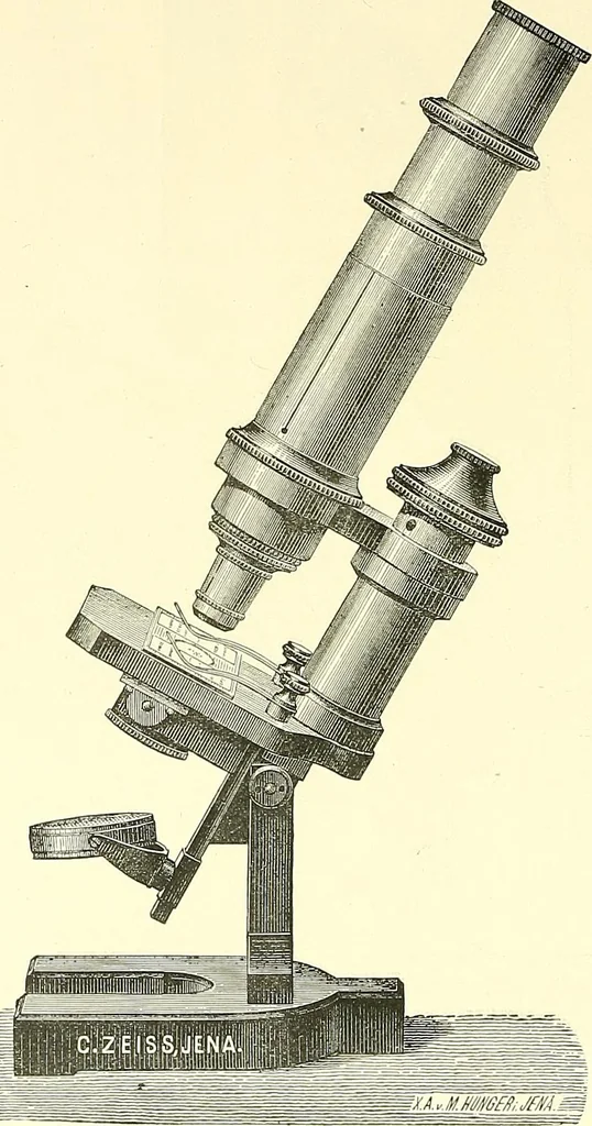 An illustration from The microscope : its construction and management : including technique, photo-micrography, and the past and future of the microscope, 1893, leaf 259