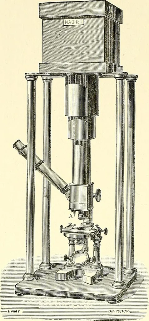 An illustration from The microscope : its construction and management : including technique, photo-micrography, and the past and future of the microscope, 1893, leaf 275