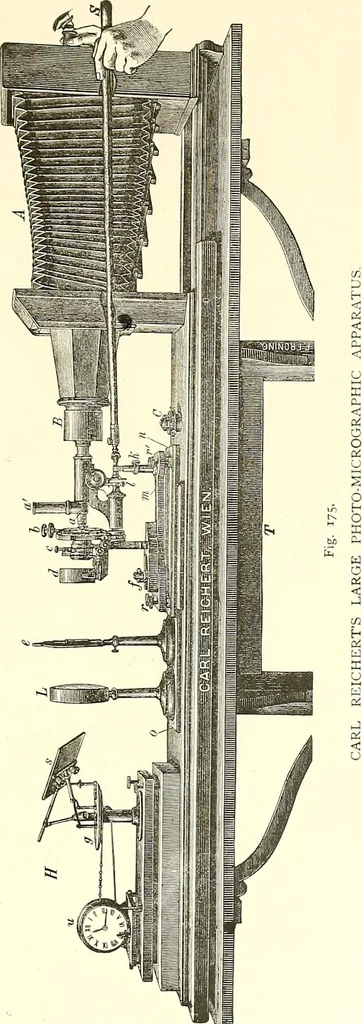 An illustration from The microscope : its construction and management : including technique, photo-micrography, and the past and future of the microscope, 1893, leaf 278