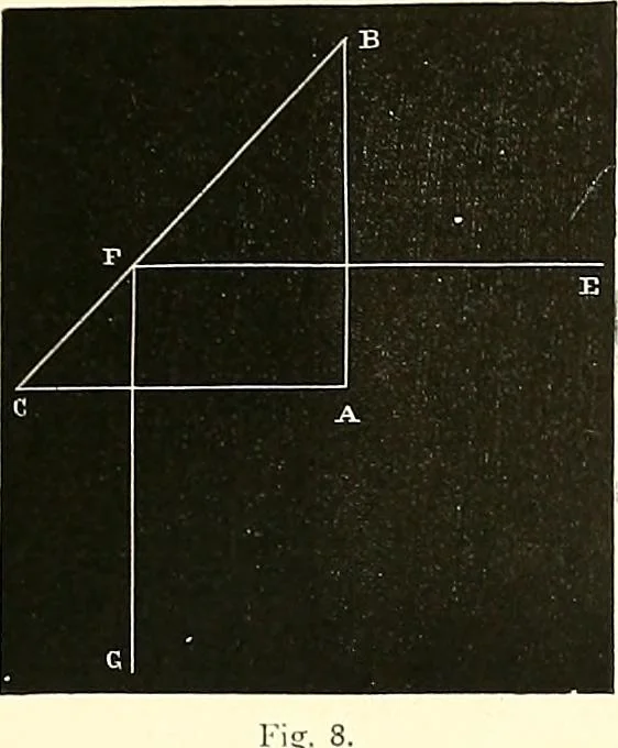 An illustration from The microscope : its construction and management : including technique, photo-micrography, and the past and future of the microscope, 1893, leaf 28