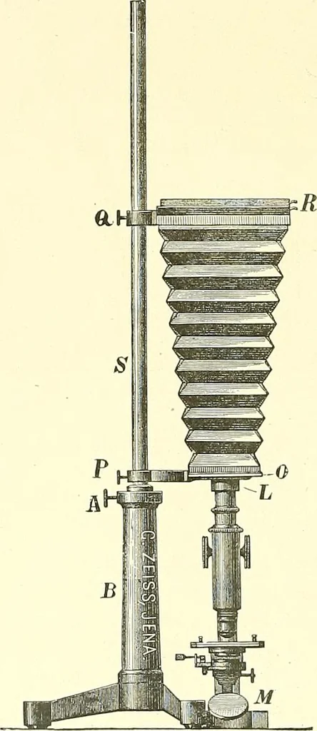 An illustration from The microscope : its construction and management : including technique, photo-micrography, and the past and future of the microscope, 1893, leaf 281