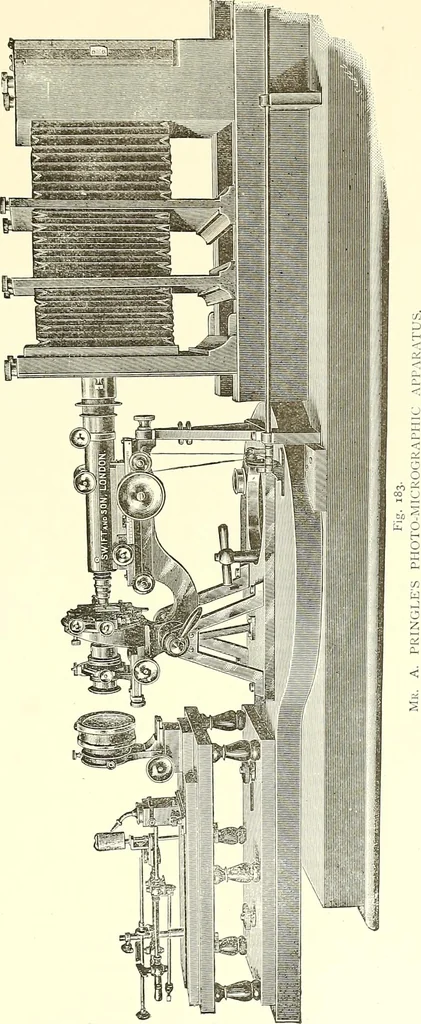 An illustration from The microscope : its construction and management : including technique, photo-micrography, and the past and future of the microscope, 1893, leaf 290