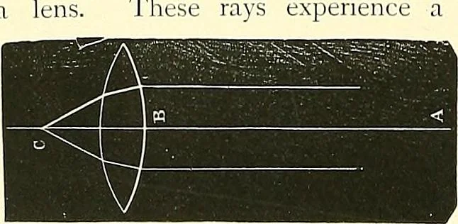 An illustration from The microscope : its construction and management : including technique, photo-micrography, and the past and future of the microscope, 1893, leaf 31