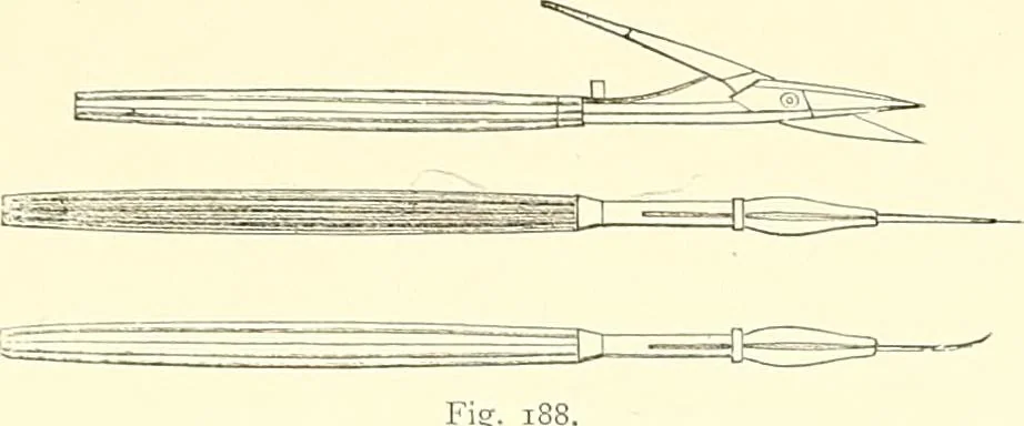 An illustration from The microscope : its construction and management : including technique, photo-micrography, and the past and future of the microscope, 1893, leaf 334