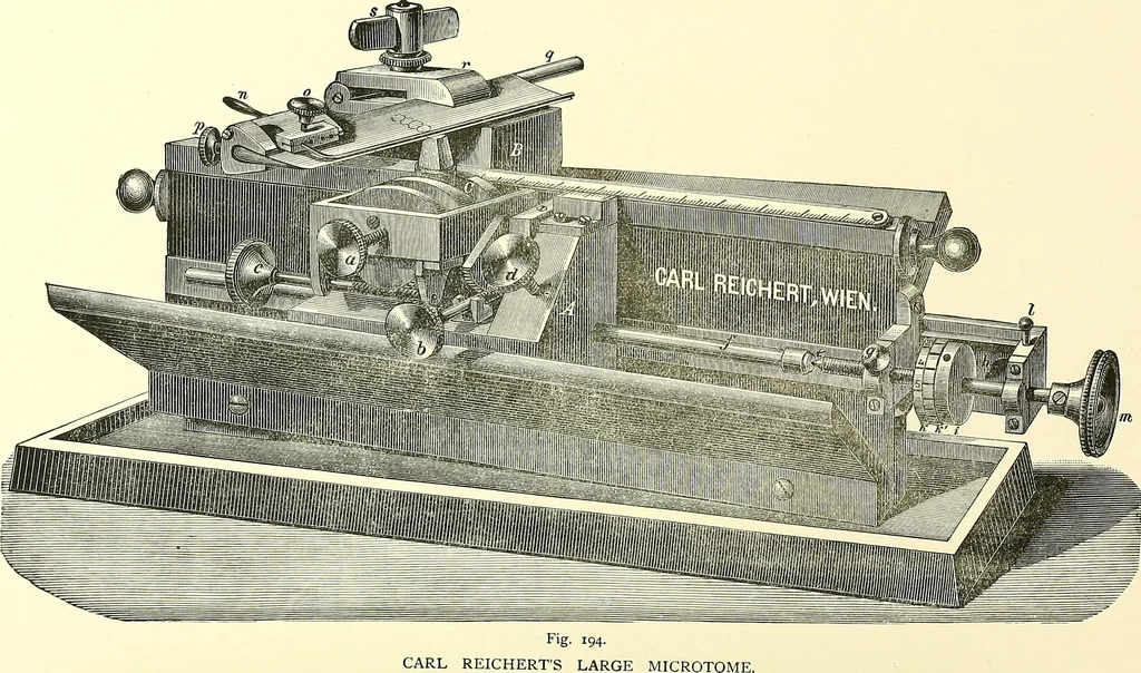 An illustration from The microscope : its construction and management : including technique, photo-micrography, and the past and future of the microscope, 1893, leaf 337
