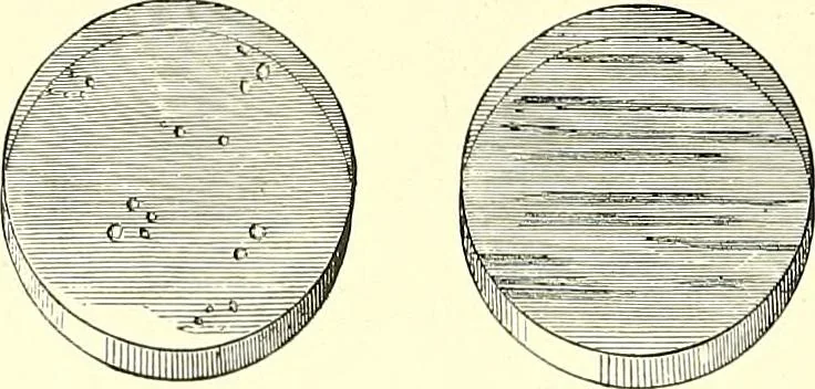 An illustration from The microscope : its construction and management : including technique, photo-micrography, and the past and future of the microscope, 1893, leaf 355