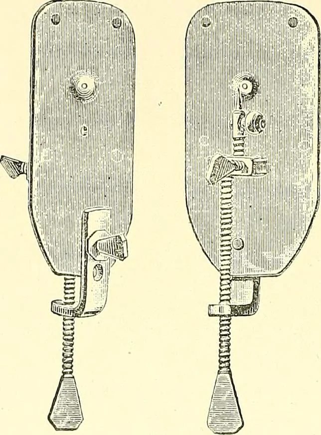 An illustration from The microscope : its construction and management : including technique, photo-micrography, and the past and future of the microscope, 1893, leaf 359