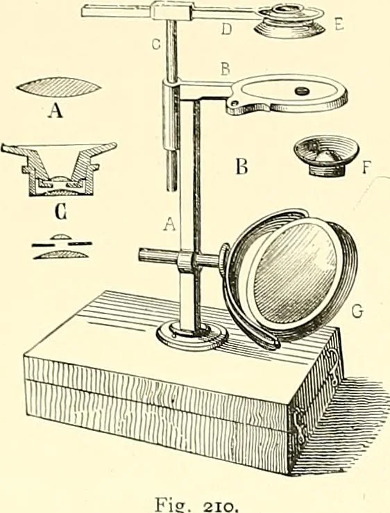 An illustration from The microscope : its construction and management : including technique, photo-micrography, and the past and future of the microscope, 1893, leaf 362
