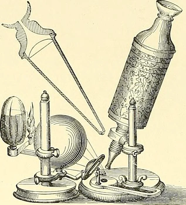 An illustration from The microscope : its construction and management : including technique, photo-micrography, and the past and future of the microscope, 1893, leaf 365