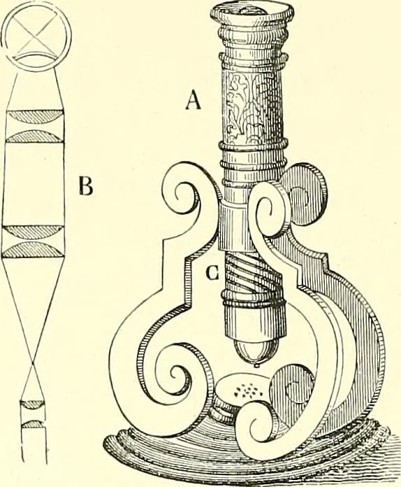 An illustration from The microscope : its construction and management : including technique, photo-micrography, and the past and future of the microscope, 1893, leaf 365