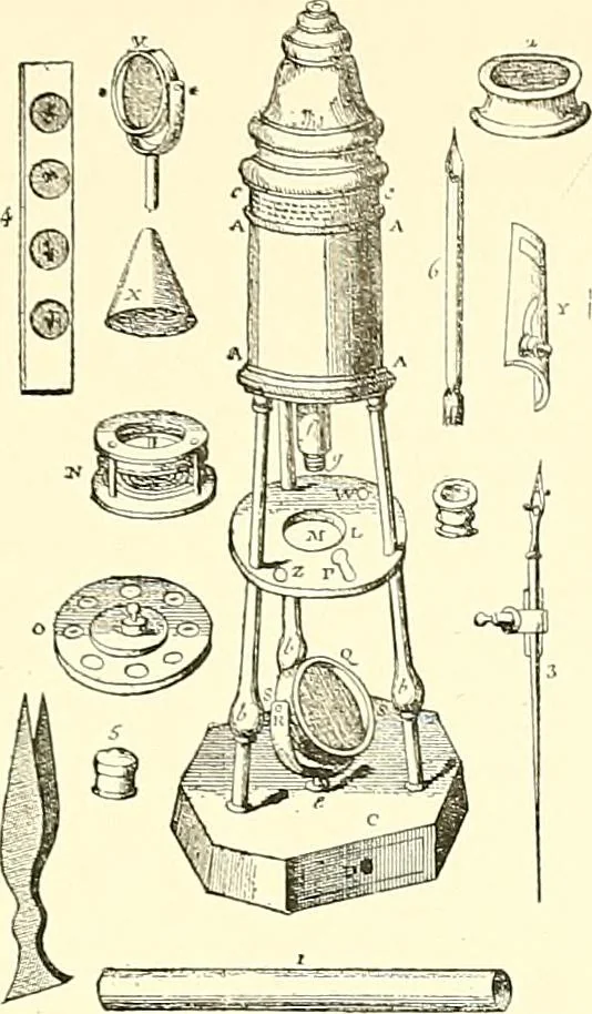 An illustration from The microscope : its construction and management : including technique, photo-micrography, and the past and future of the microscope, 1893, leaf 368