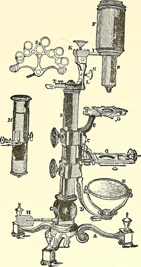 An illustration from The microscope : its construction and management : including technique, photo-micrography, and the past and future of the microscope, 1893, leaf 372