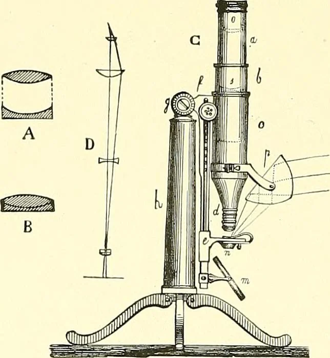 An illustration from The microscope : its construction and management : including technique, photo-micrography, and the past and future of the microscope, 1893, leaf 373