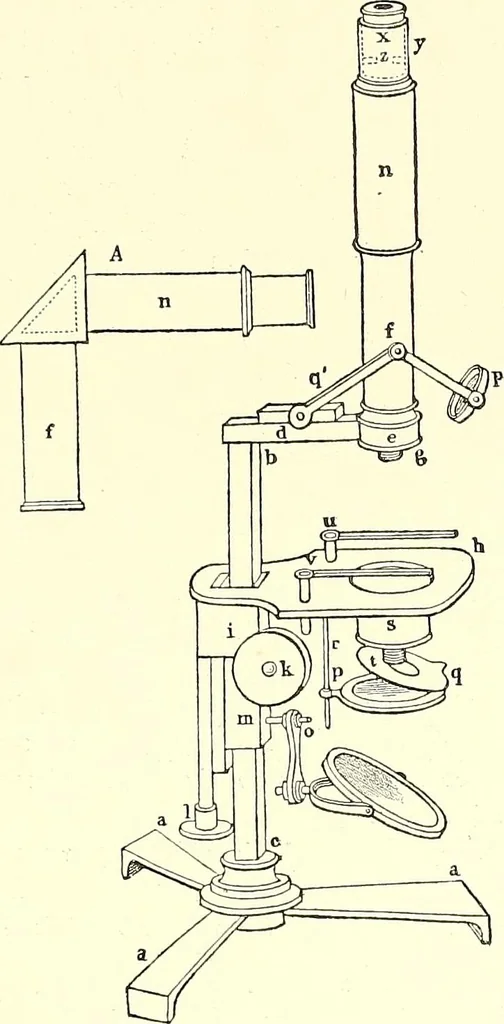 An illustration from The microscope : its construction and management : including technique, photo-micrography, and the past and future of the microscope, 1893, leaf 374