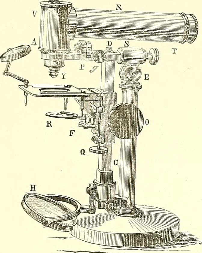 An illustration from The microscope : its construction and management : including technique, photo-micrography, and the past and future of the microscope, 1893, leaf 376