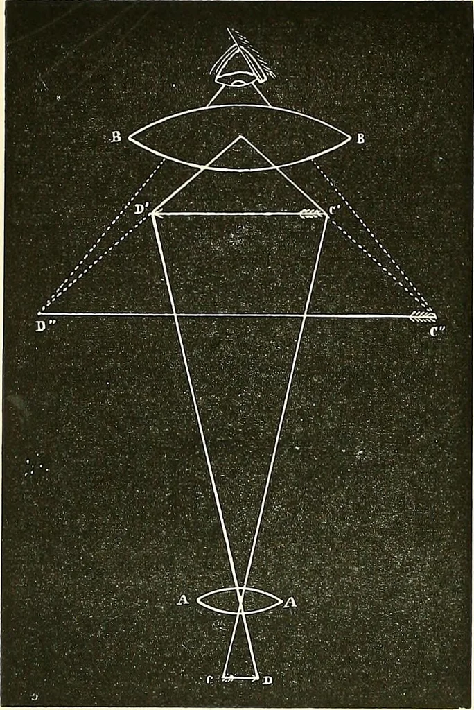 An illustration from The microscope : its construction and management : including technique, photo-micrography, and the past and future of the microscope, 1893, leaf 41