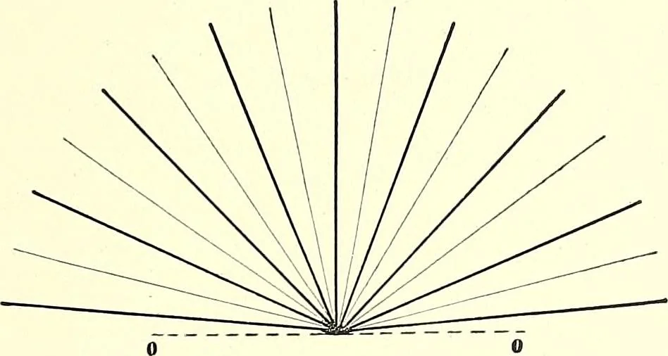 An illustration from The microscope : its construction and management : including technique, photo-micrography, and the past and future of the microscope, 1893, leaf 46