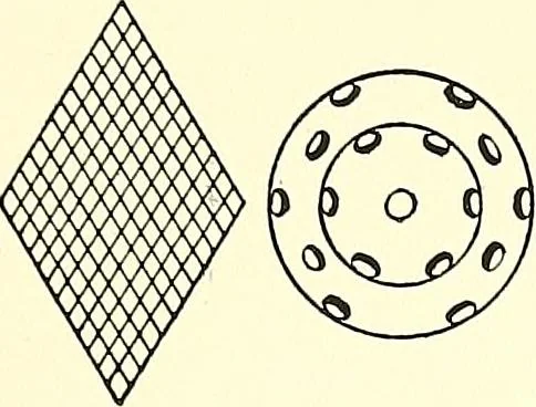 An illustration from The microscope : its construction and management : including technique, photo-micrography, and the past and future of the microscope, 1893, leaf 58
