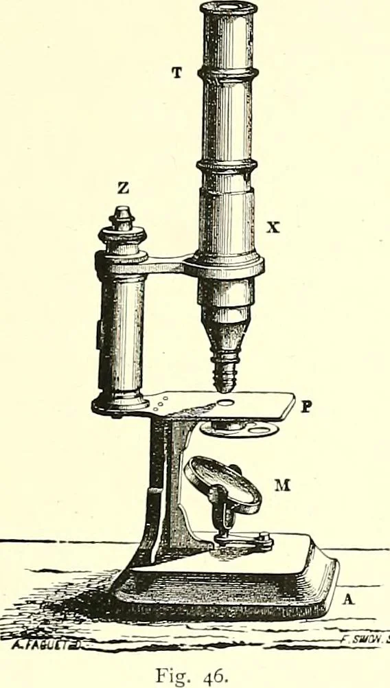 An illustration from The microscope : its construction and management : including technique, photo-micrography, and the past and future of the microscope, 1893, leaf 62