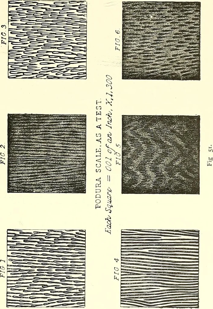 An illustration from The microscope : its construction and management : including technique, photo-micrography, and the past and future of the microscope, 1893, leaf 80