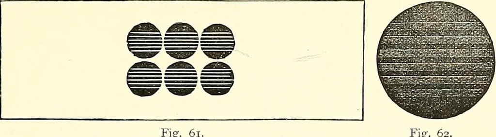 An illustration from The microscope : its construction and management : including technique, photo-micrography, and the past and future of the microscope, 1893, leaf 90