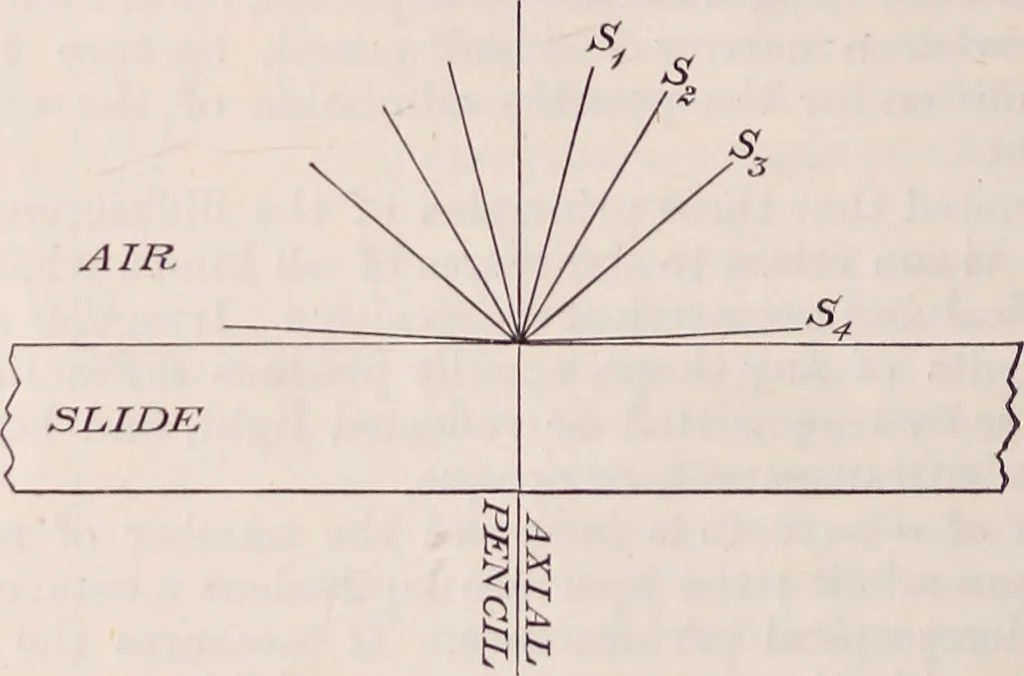 An illustration from The microscope and its revelations, 1891, leaf 101