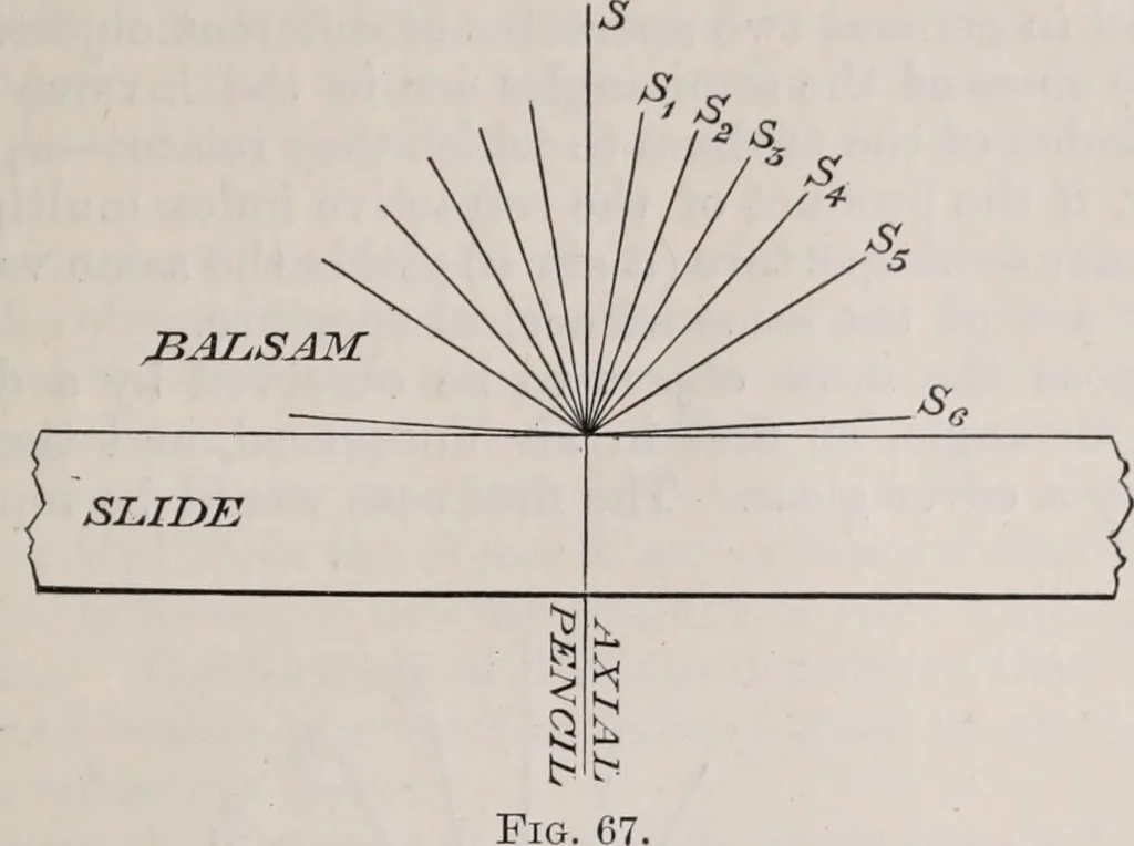 An illustration from The microscope and its revelations, 1891, leaf 102