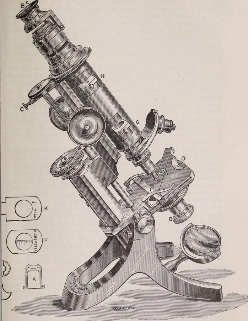 An illustration from The microscope and its revelations, 1891, leaf 1056