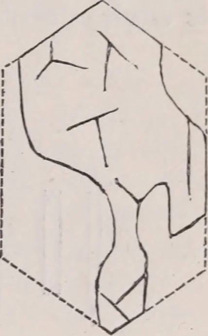 An illustration from The microscope and its revelations, 1891, leaf 1058